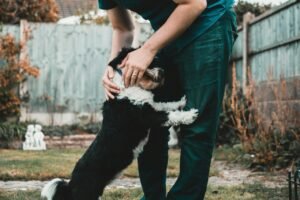 Can a Landlord Refuse Pets in Australia?